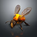 Detailed 3D Rendered Bee With Yellow Black Body Transparent Wings On Dark Background