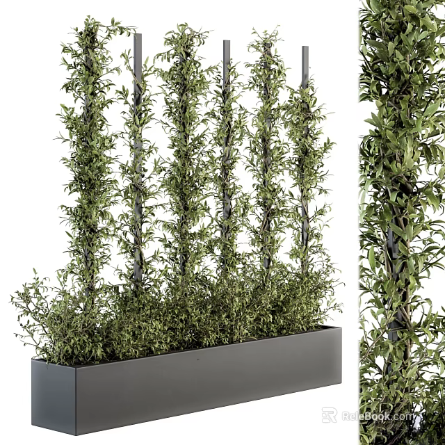 Lush Vines In Modern Planter Box Vertical Arrangement 3d model 