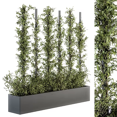 Lush Vines In Modern Planter Box Vertical Arrangement 3d model