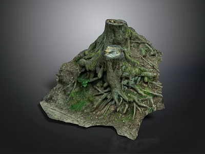 Natural Tree Stump Scene With Exposed Roots And Green Moss Textured Base 3d model