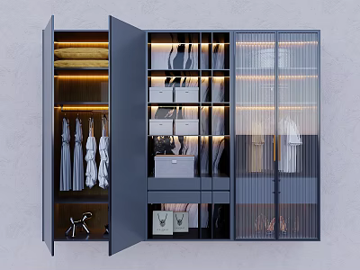 Modern Wardrobe Interior Design With Hanging Clothes Drawers Storage Boxes And Glass Doors 3d model