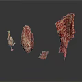 Organ and Hair Biological Specimens Showing Different Structural Characteristics