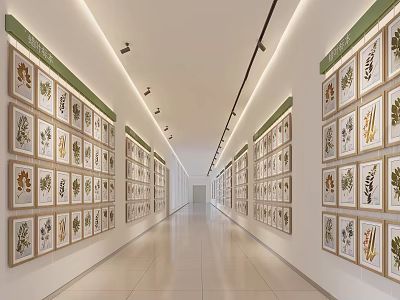 Spacious Elevator Hallway With Framed Botanical Specimen Paintings On Both Walls And Bright Lighting 3d model