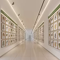 Spacious Elevator Hallway With Framed Botanical Specimen Paintings On Both Walls And Bright Lighting