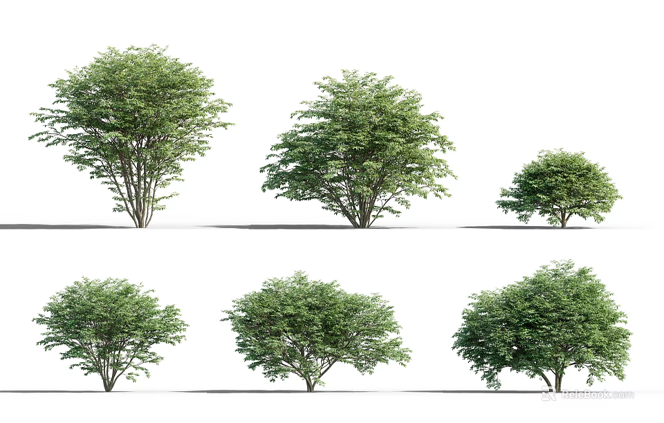 Various Green Shrubs in Different Shapes and Sizes for Garden Landscaping Design 3d model 