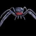 Realistic Black Spider with Red Eyes and Long Legs on Black Background