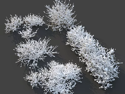 White Bushes 3D Rendered Models On Dark Background With Detailed Branches 3d model