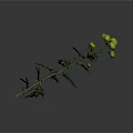 Green Chrysanthemum Branches With Yellow Flowers And Green Leaves On Gray Background