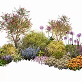 Vibrant Plant Combination With Various Flowers Shrubs Trees And Herbaceous Plants