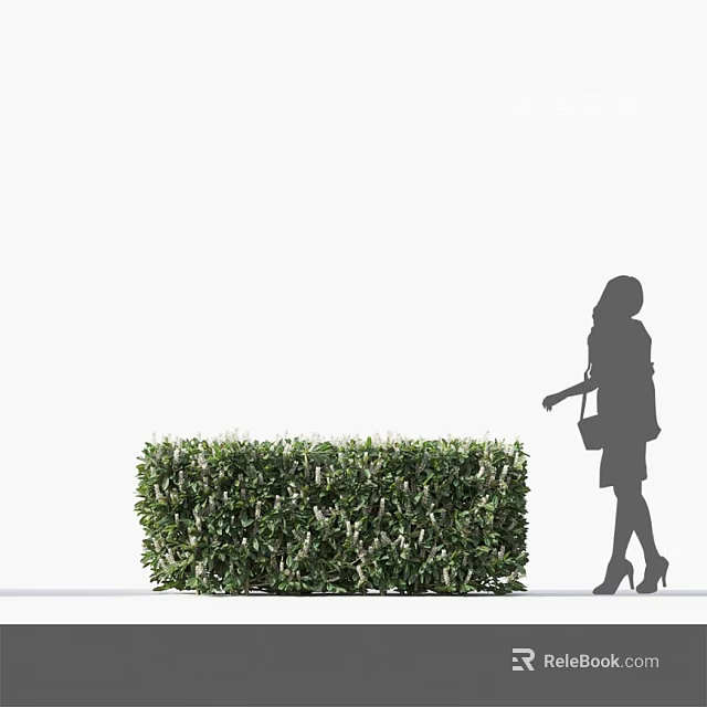 Green Leafy Shrub in White Background with Woman Silhouette Walking Nearby 3d model 