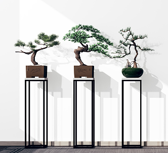 New Chinese Bonsai Green Plant 3d model