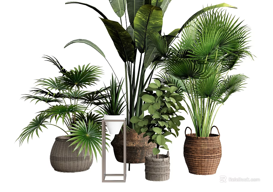 Tropical Potted Plants with Large Leaves and Various Woven Ceramic Planters 3d model 