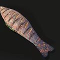 Fresh Colorful Striped Fish With Green Vegetables On Black Background