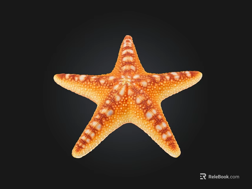 Orange and White Spotted Starfish Marine Creature with Five Arms in Ocean Habitat 3d model 