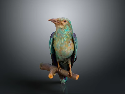 Vibrant turquoise teal bird perched calmly on a wooden branch 3d model