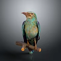 Vibrant turquoise teal bird perched calmly on a wooden branch