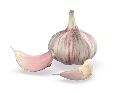 Fresh Purple Striped Garlic Bulb With Peeled Cloves On White Background 3d model