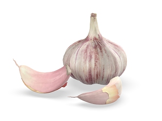 Modern Garlic 3d model