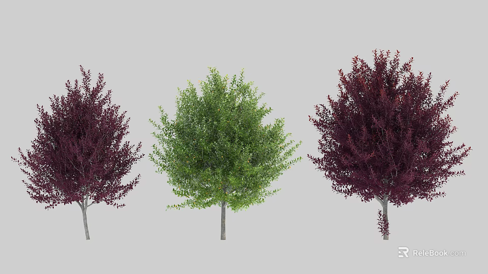 Three Arbor Trees Featuring Dark Purple and Green Foliage in Outdoor Setting 3d model 