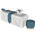 White Massage Chair With Blue Straps Cushions And Decorative Plant Tray