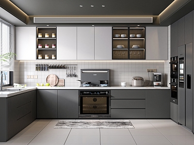 Modern Kitchen model