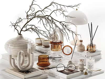 Modern Decorative Ornaments Set with White Vase Twigs Candles Books and Fragrance Diffusers 3d model