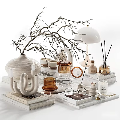 Modern Decorative Ornaments Set with White Vase Twigs Candles Books and Fragrance Diffusers 3d model