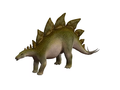 Realistic Stegosaurus Dinosaur With Green Skin Dorsal Plates And Long Tail 3d model