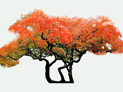 Beautiful Arbor with Lush Orange Red Leaves and Curved Trunks 3d model