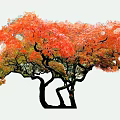 Beautiful Arbor with Lush Orange Red Leaves and Curved Trunks