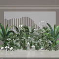 Tropical Indoor Plant Combination With Large Leaves Decorative Lanterns And White Ornaments