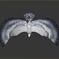 White and Blue Feathered Eagle Flying with Spread Wings Against Gray Background 3d model