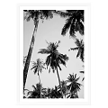 Hand Drawn Female Figure Portrait Sketch With Palm Tree And Succulent Art