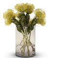 Beautiful Yellow Flowers Arranged in Transparent Glass Vase with Green Leaves and Stems in Water