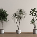 green plant potted floor plant 3d model