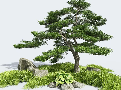 Serene Garden Courtyard Featuring Lush Grass Pine Tree Decorative Stones And Green Plants 3d model
