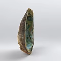 Abalone shell jewelry shellfish jewelry abalone shell specimen shell carapace 3d model