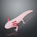Pink Aquatic Creature With Red External Gills And White Limbs On Dark Background