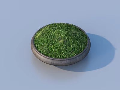 Bonsai Potted Plant With Circular Gray Pot And Green Grass On Light Blue Background 3d model