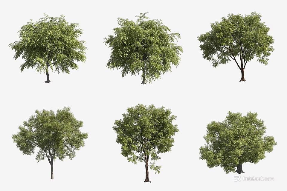 Arboreal Trees Of Various Species With Lush Green Foliage And Natural Form 3d model 
