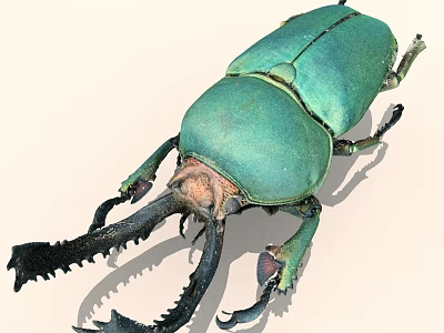 Green Beetle With Large Mandibles And Metallic Green Exoskeleton Detailed View 3d model