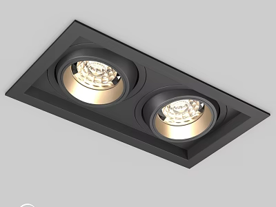Modern Black Square Recessed Double Downlight Spotlights For Home Warm Lighting 3d model