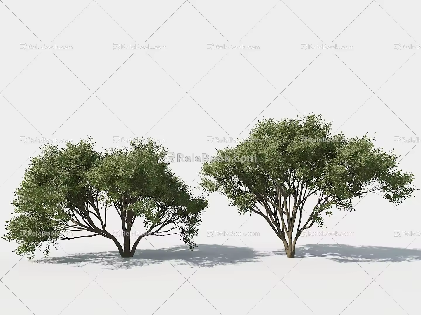 Landscape Trees Landscape Shrubs Landscape Plants 3d model