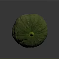 Organic Fresh Green Round Pumpkin With Textured Skin And Yellow Stem