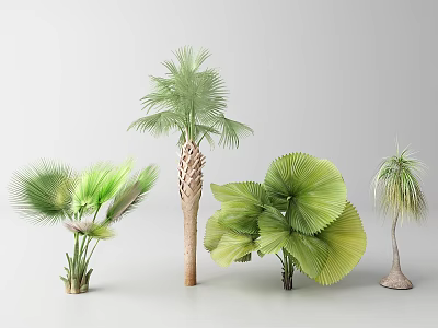 Various Tropical Trees with Lush Green Palm Leaves and Distinct Trunk Structures 3d model