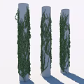 Lush Green Vines Climbing White Columns With Fresh Leaves