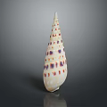 Spotted Conch Shell With Conical Shape Colorful Spots And Reflection On Gray Background