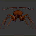 Detailed Red Ant 3D Model With Realistic Features And Long Antennae 3d model
