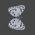 White Winged Black Spotted Butterfly Game Movie Character Design