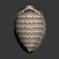 Colorful Bird Feathers With Pastel Pink Gray Light Green Detailed Fan Shaped Texture Dark Background